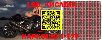 гидропоника Дмитров