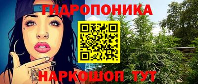 ГАЛЛЮЦИНОГЕННЫЕ ГРИБЫ Гудермес