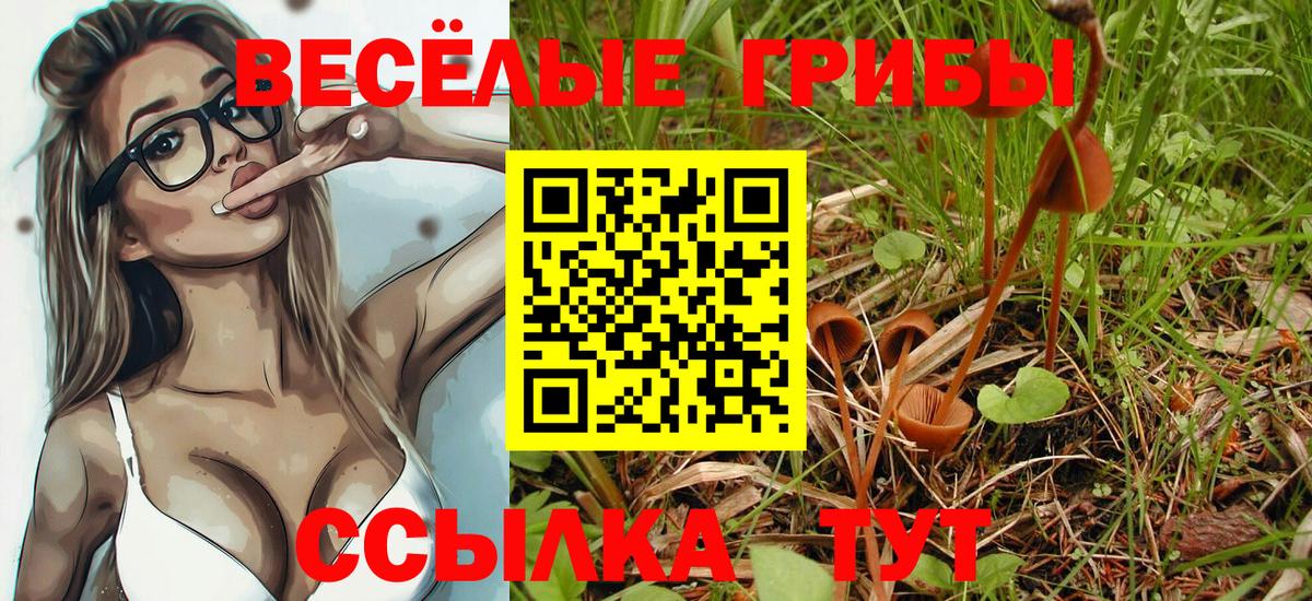 Петрозаводск  Галлюциногенные грибы мухоморы  Вход с VPN 